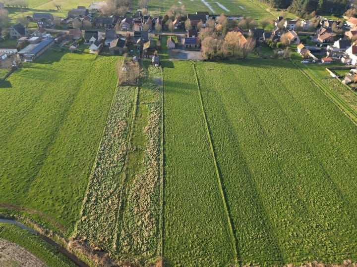 Foto 33 van Scheidingstraat 11