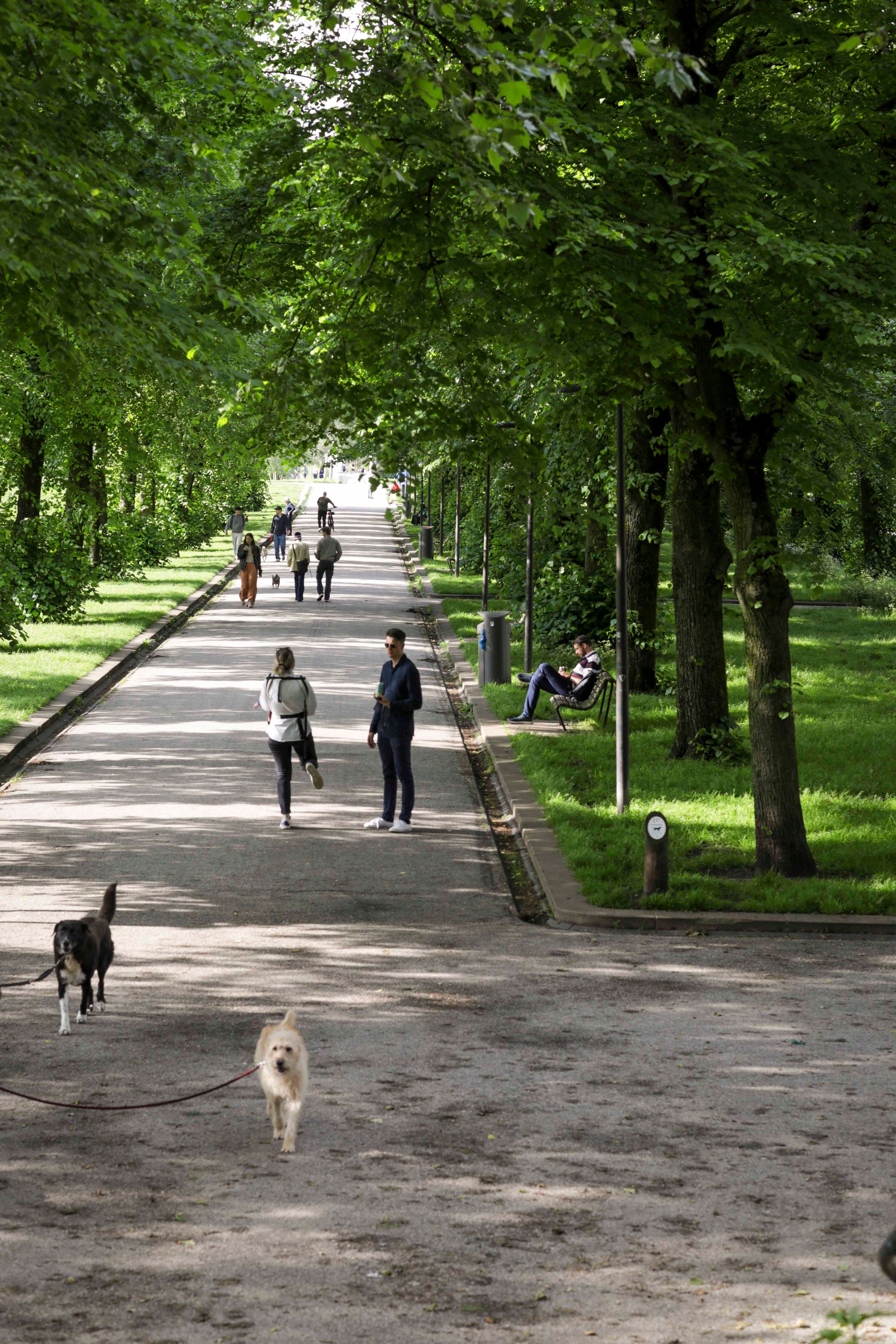 Foto 21 van Orteliusstraat 291-2