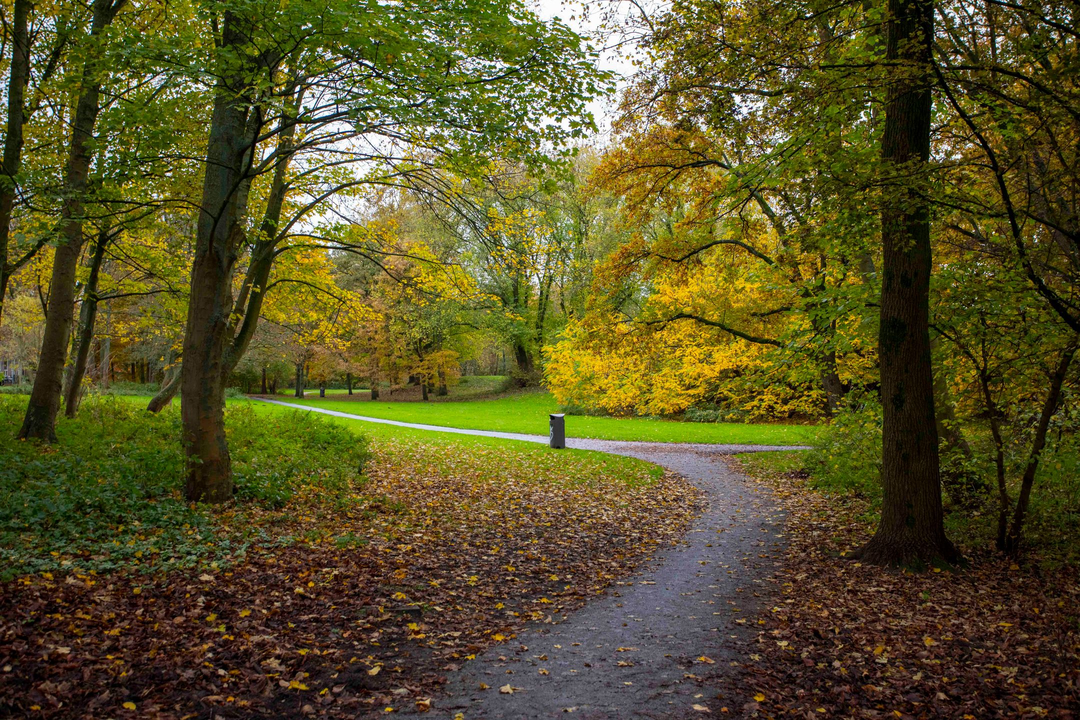 Foto 24 van Orteliusstraat 291-2