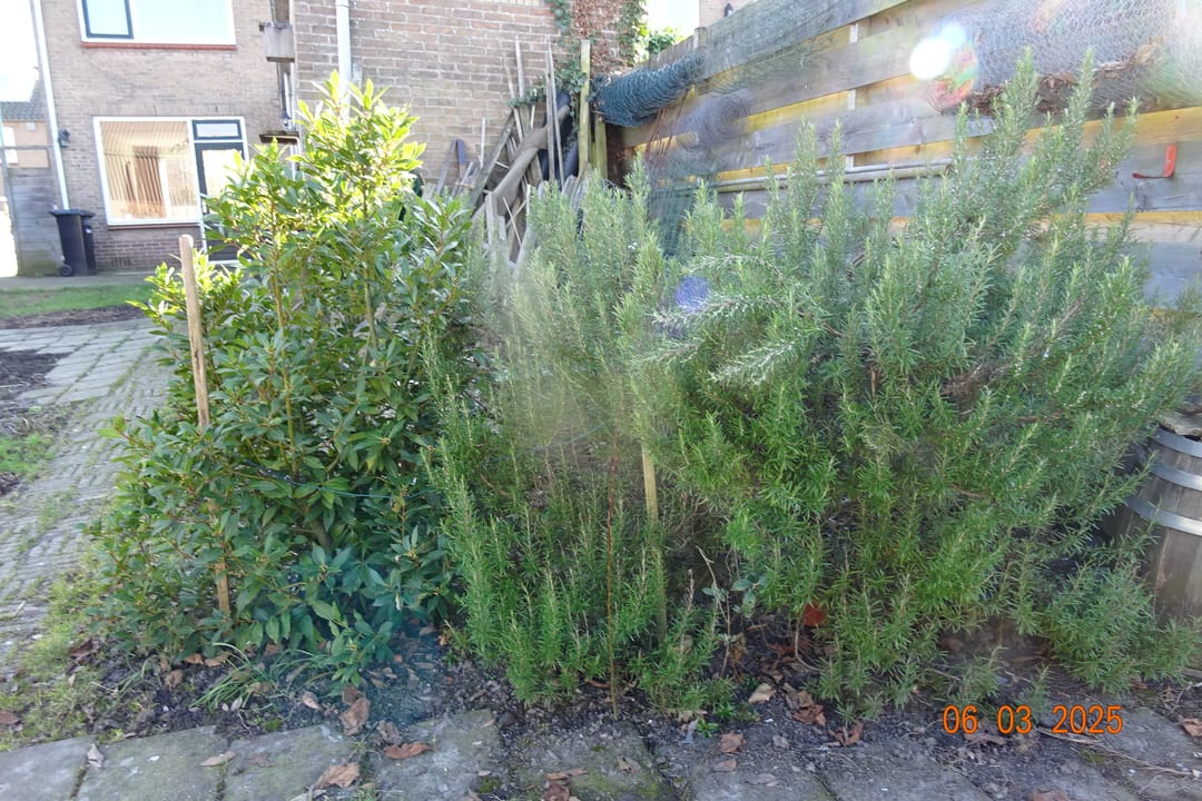 Foto 38 van Boomgaardweg 71