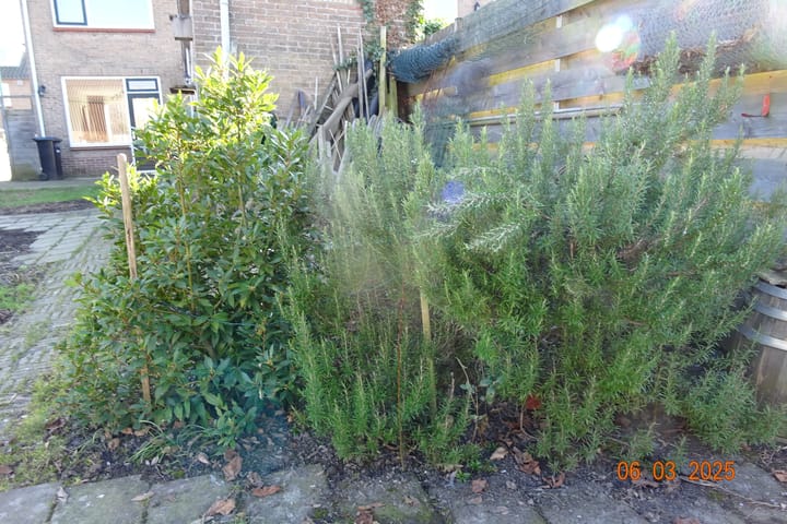 Foto 38 van Boomgaardweg 71