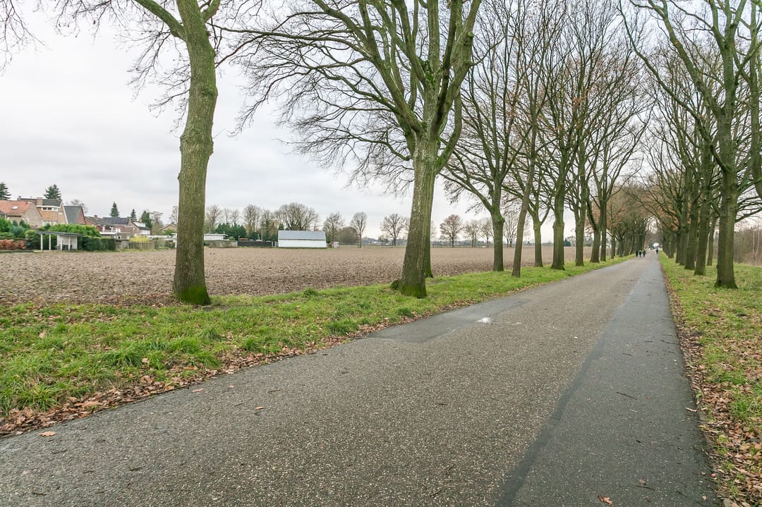 Foto 31 van Trichterweg 100