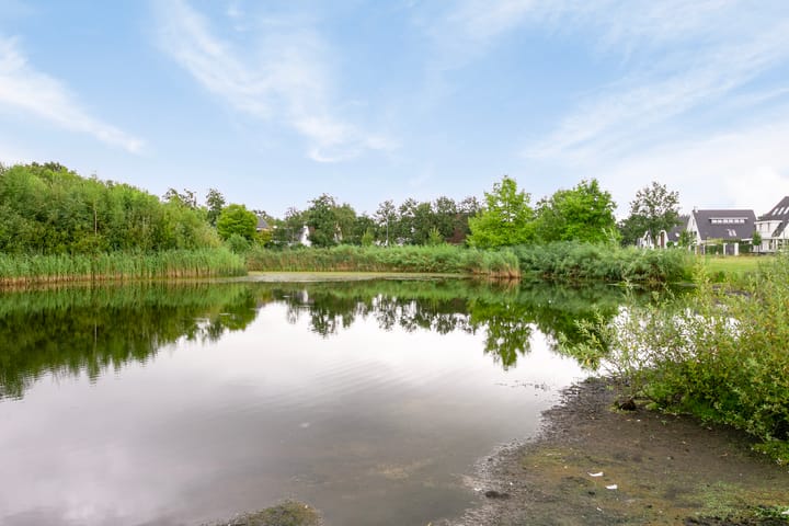 Foto 35 van Kapitein Perrotstraat 16