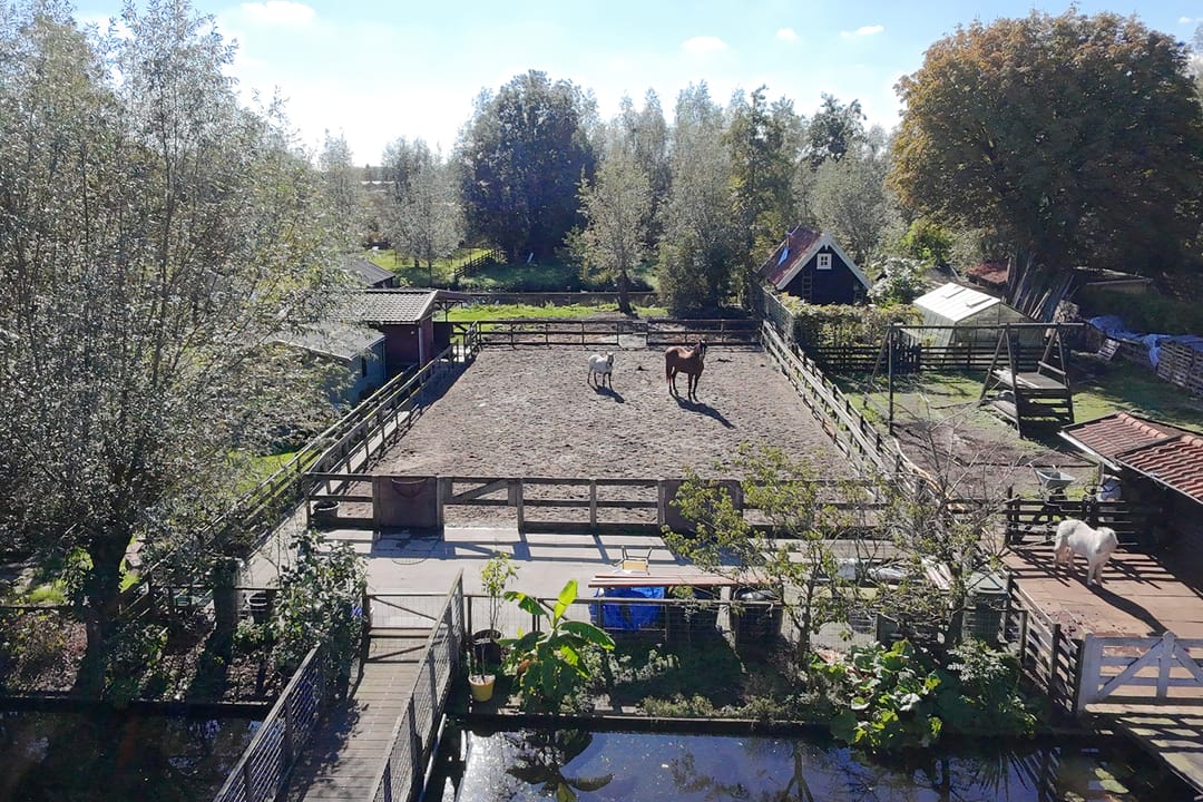 Foto 38 van Brugweg 41