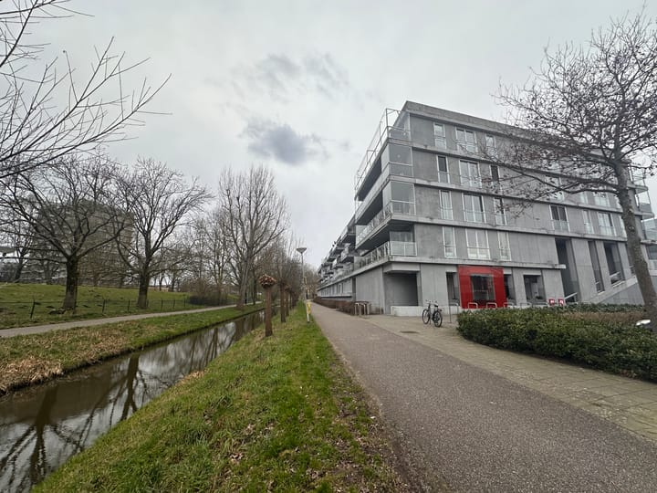 Foto 2 van Cantharel 60