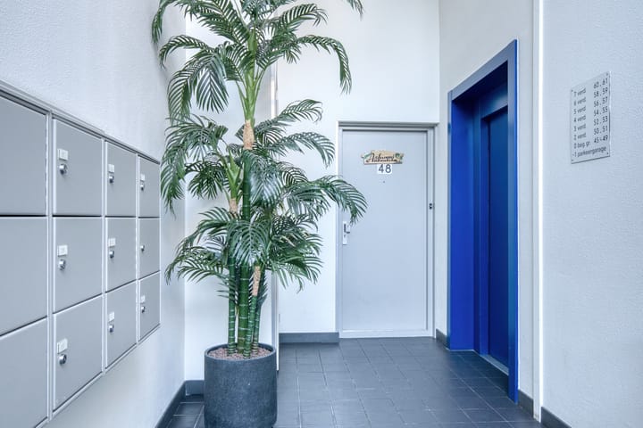 Foto 8 van De Kiel 55