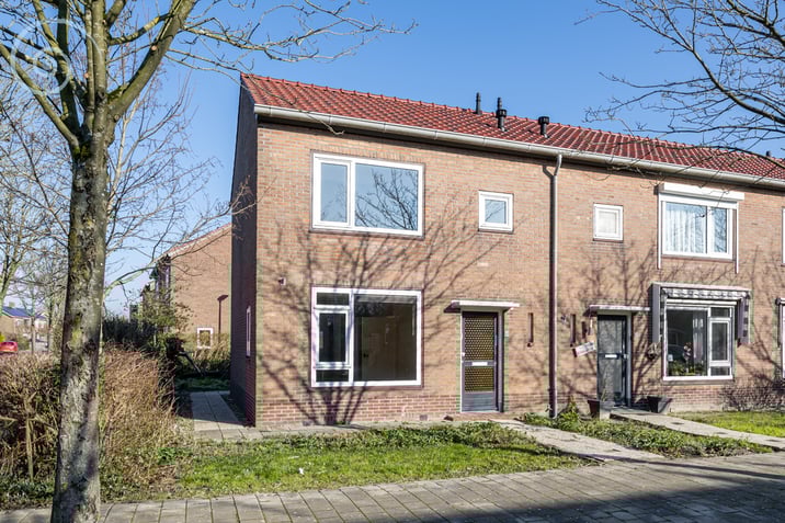 undefined main image