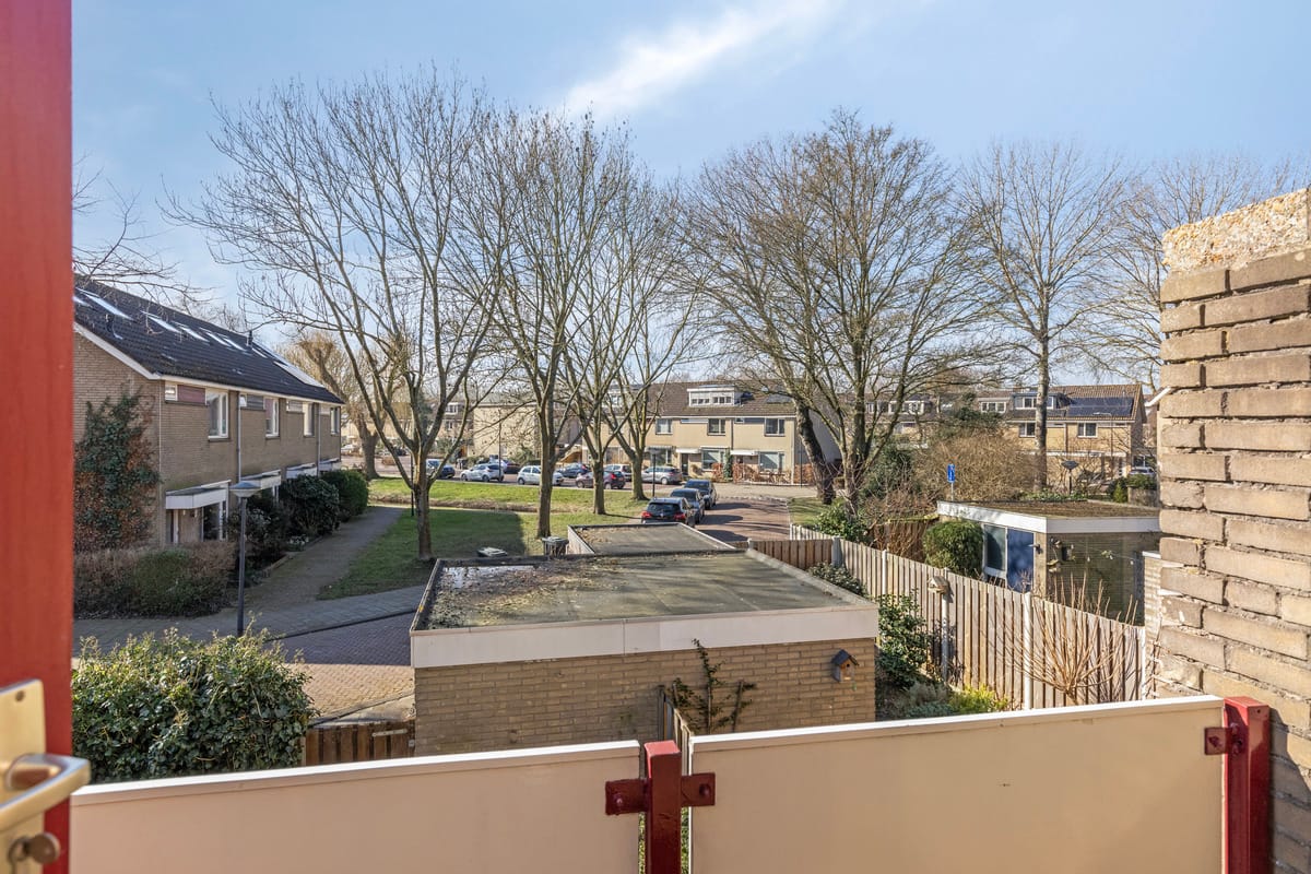 Photo 21 of Sterzegge 8