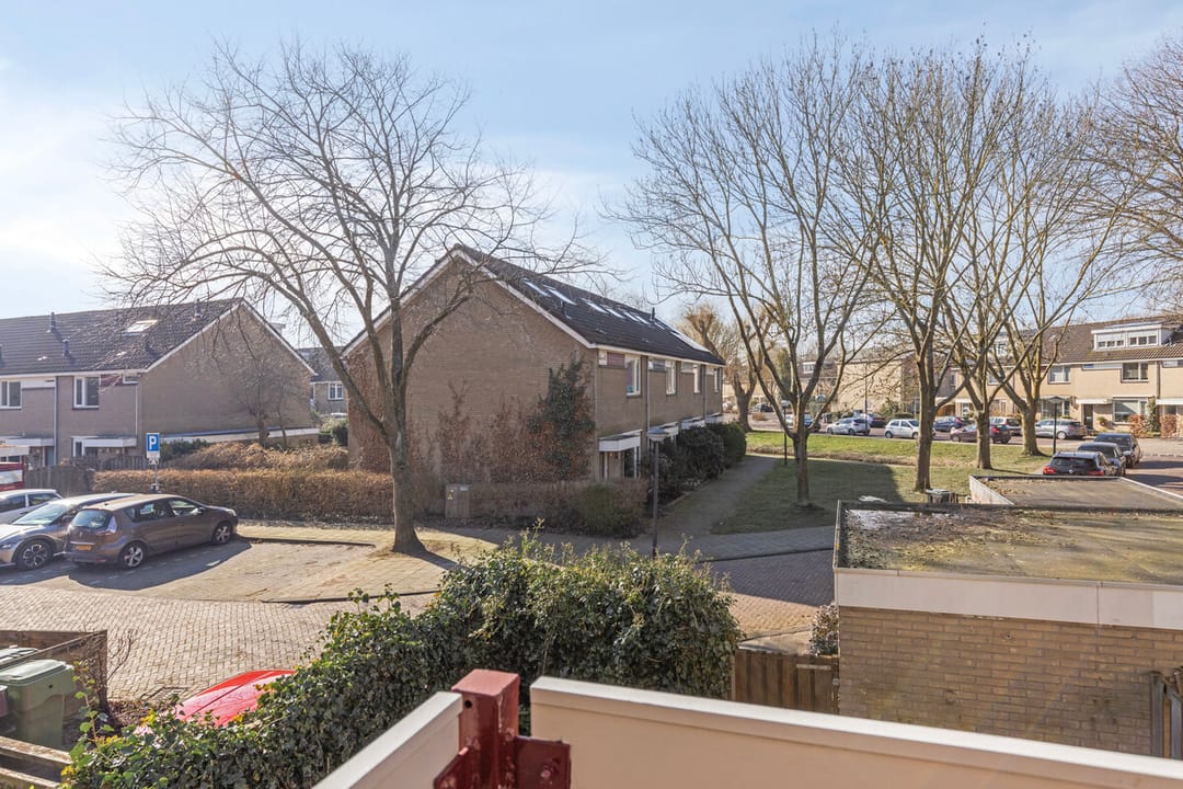 Photo 22 of Sterzegge 8