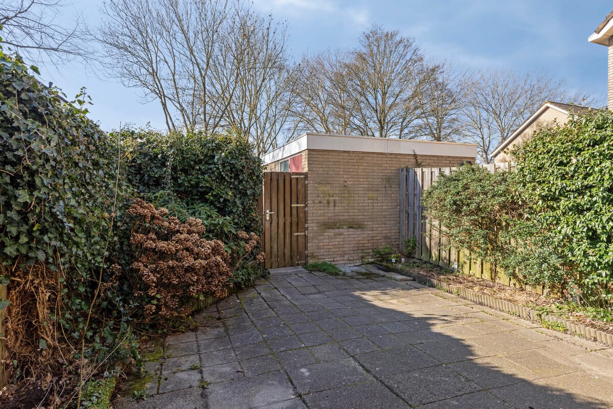 Photo 27 of Sterzegge 8