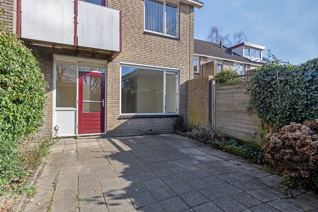 Photo 28 of Sterzegge 8