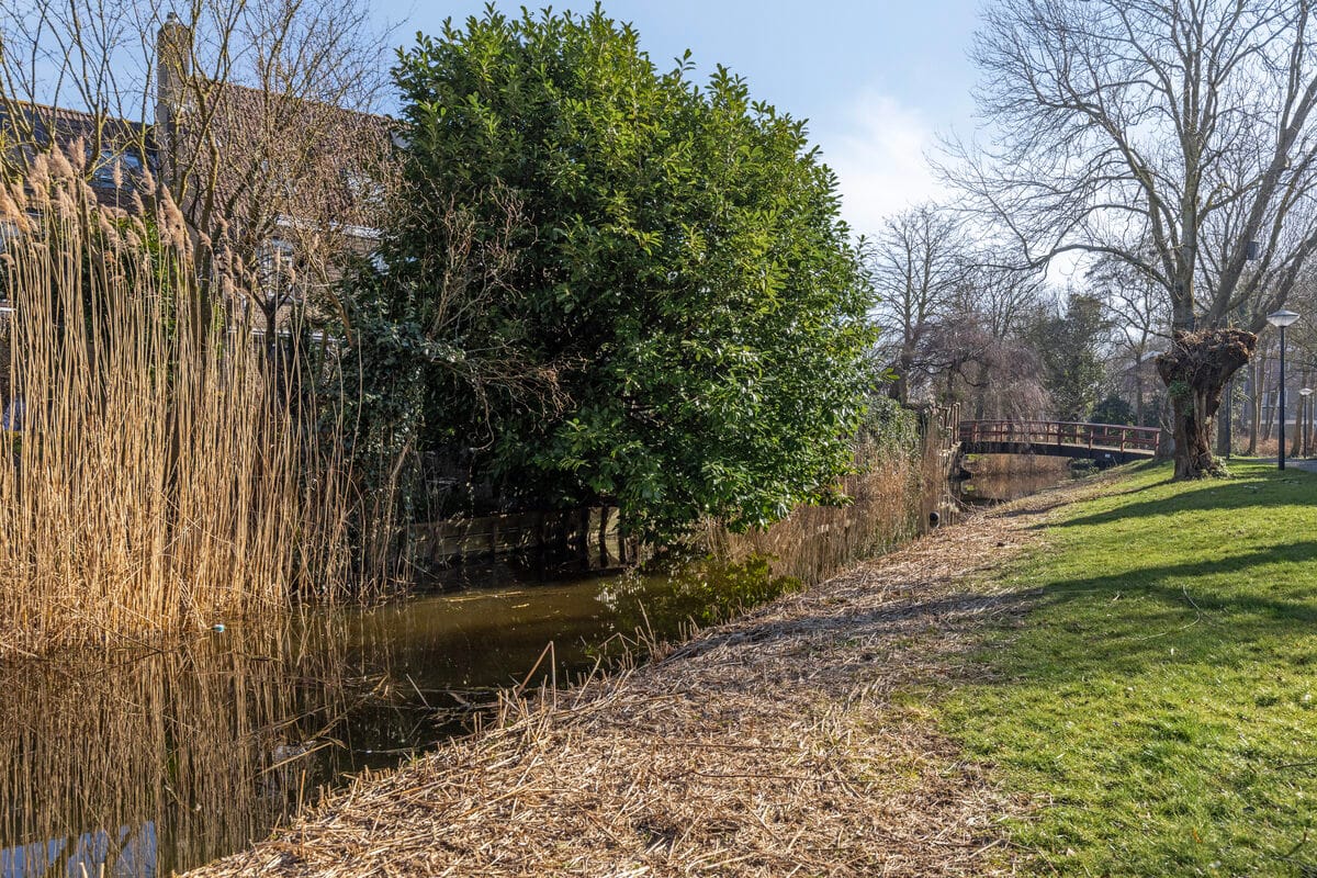 Photo 33 of Sterzegge 8