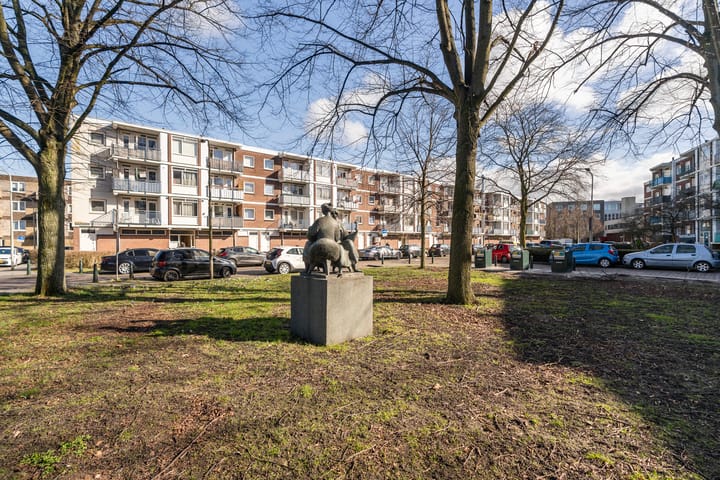 Foto 35 van Eeldeplantsoen 42