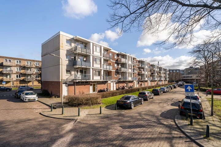 Foto 36 van Eeldeplantsoen 42