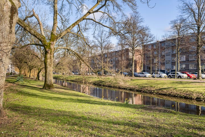 Foto 38 van Eeldeplantsoen 42