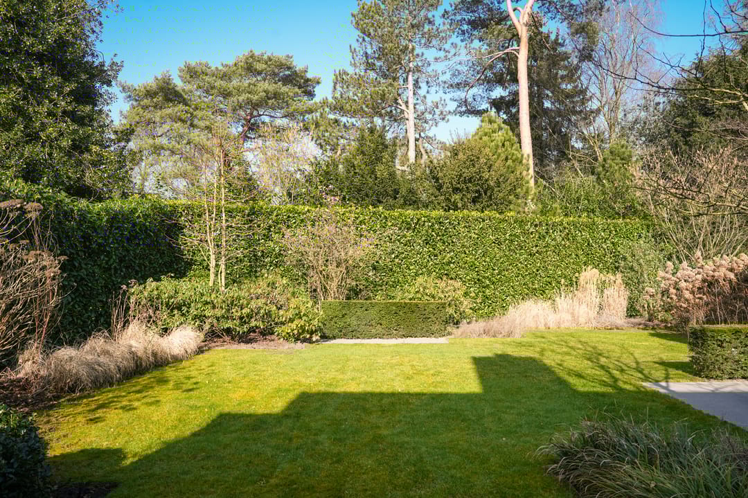 Foto 2 van Van Broghelstraat 3