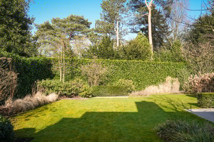 Foto 2 van Van Broghelstraat 3