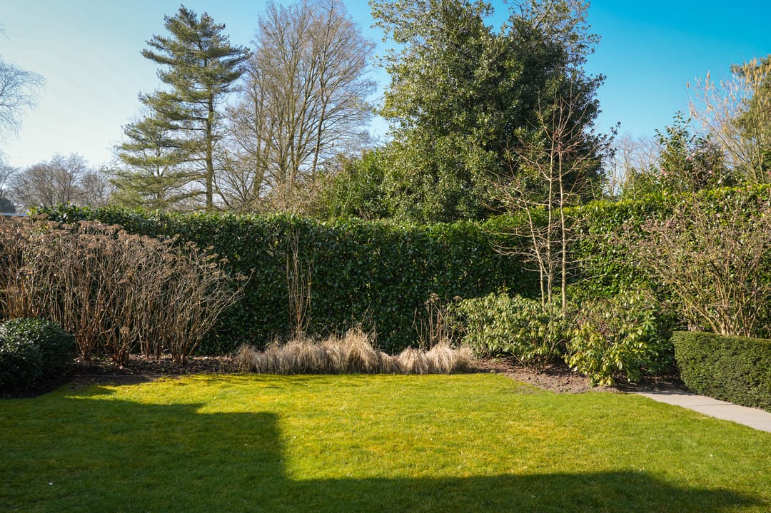 Foto 38 van Van Broghelstraat 3