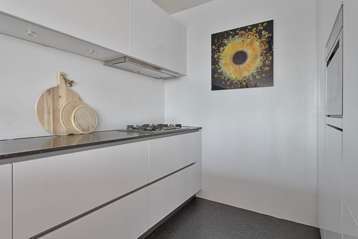 Foto 15 van Havensingel 54