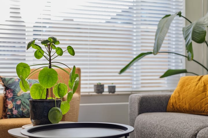 Foto 5 van Mulderstraat 5