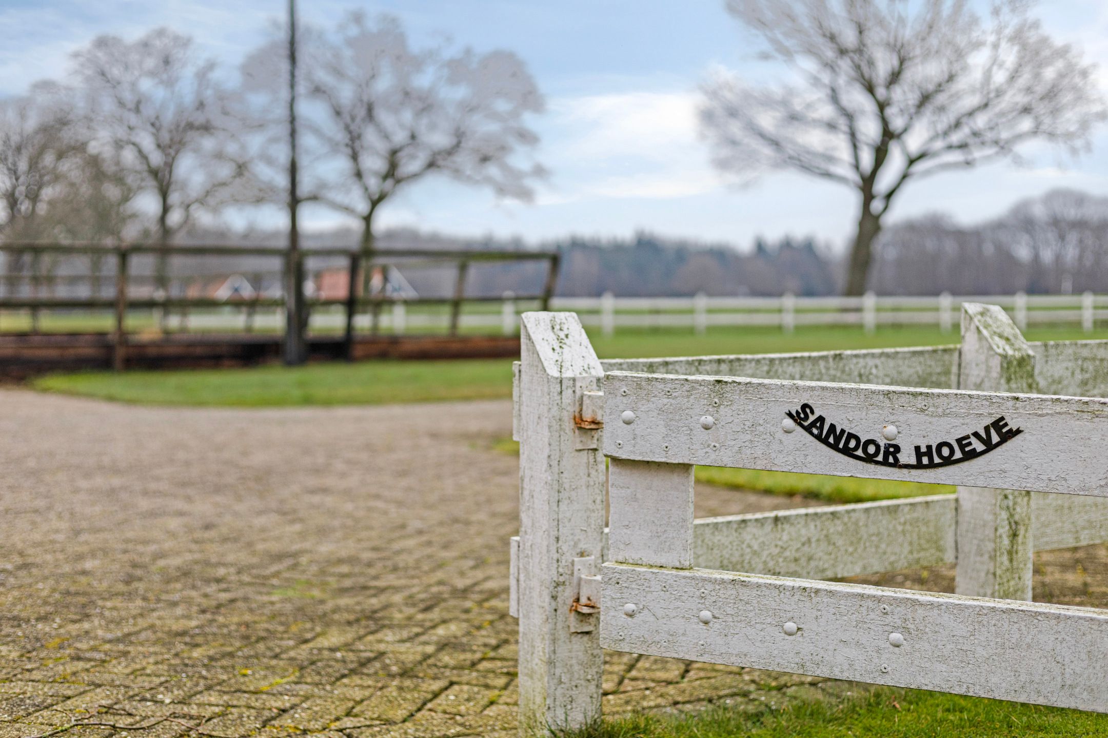 Foto 9 van Porikweg 15