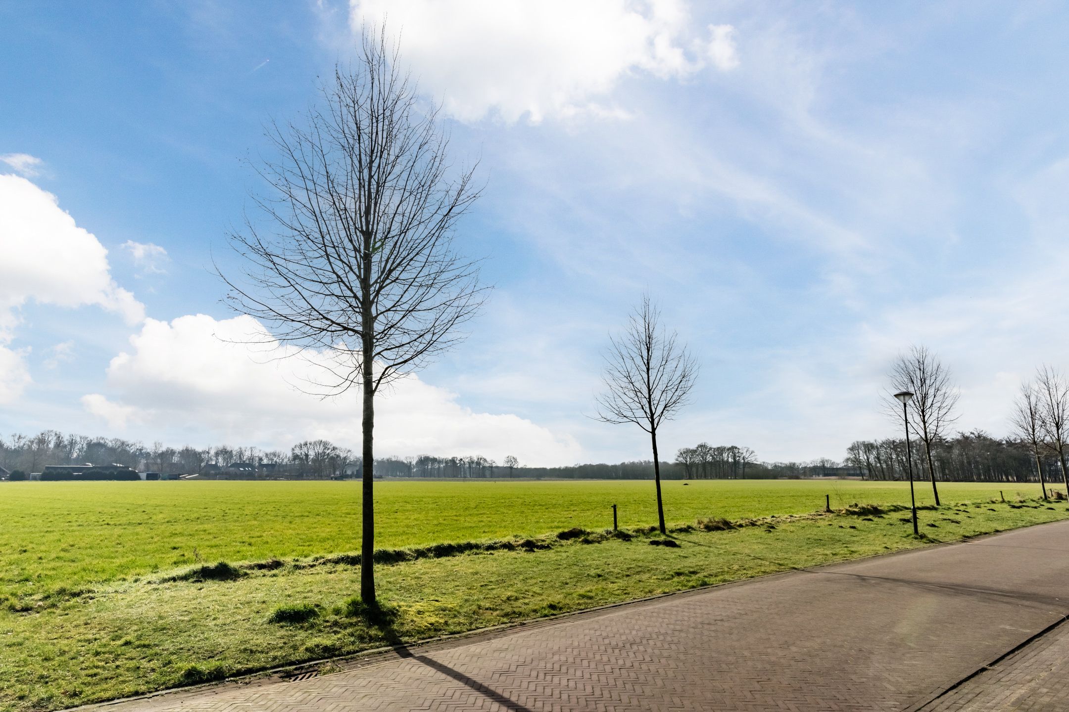 Photo 48 of Kleine Hassel 3