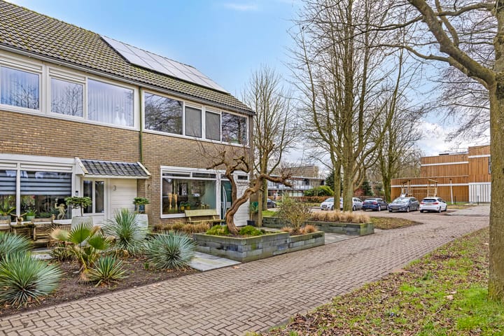 Foto 4 van Bûtewacht 1