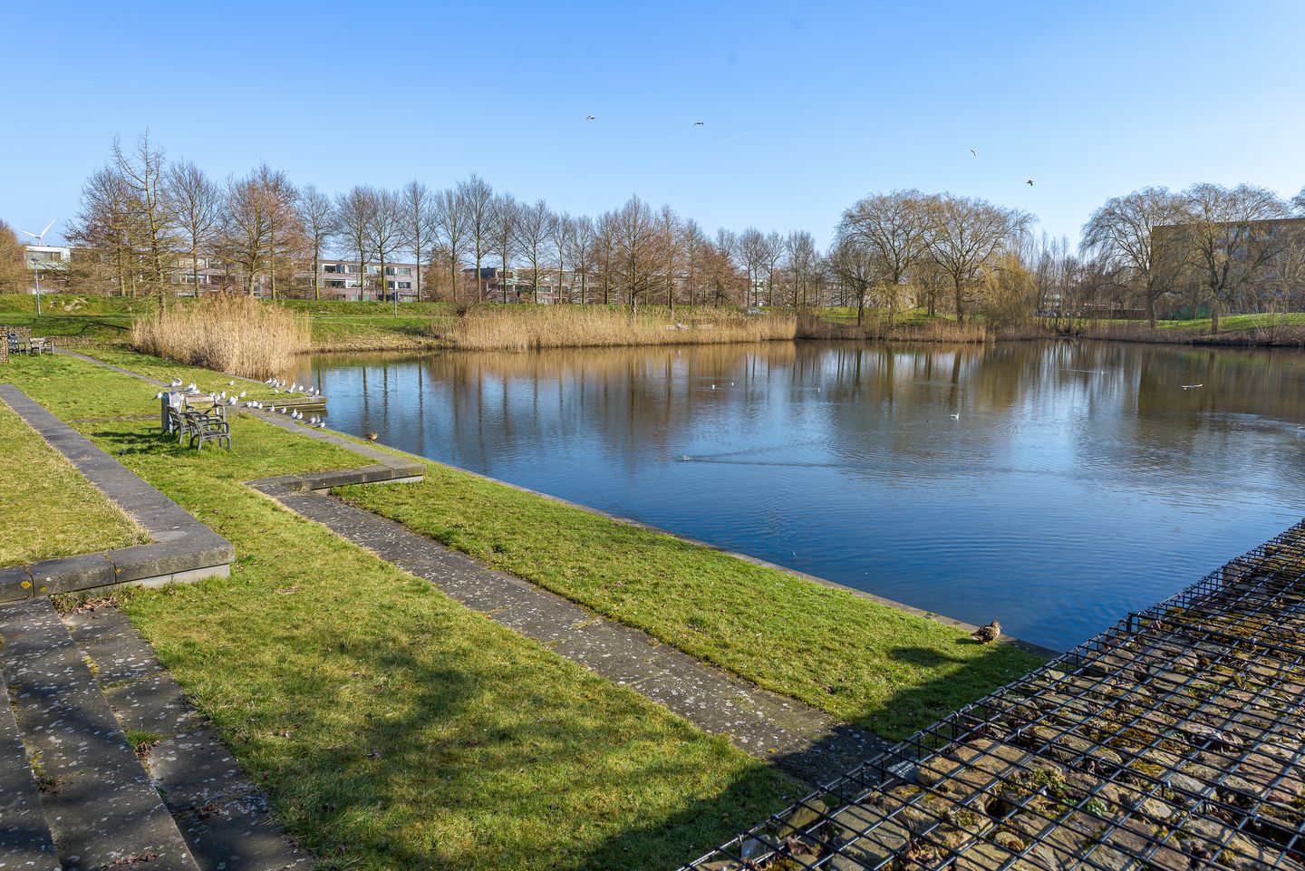 Foto 44 van El Grecostraat 30