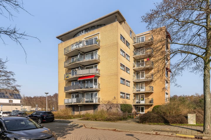 Foto 1 van Zwanebloem 64