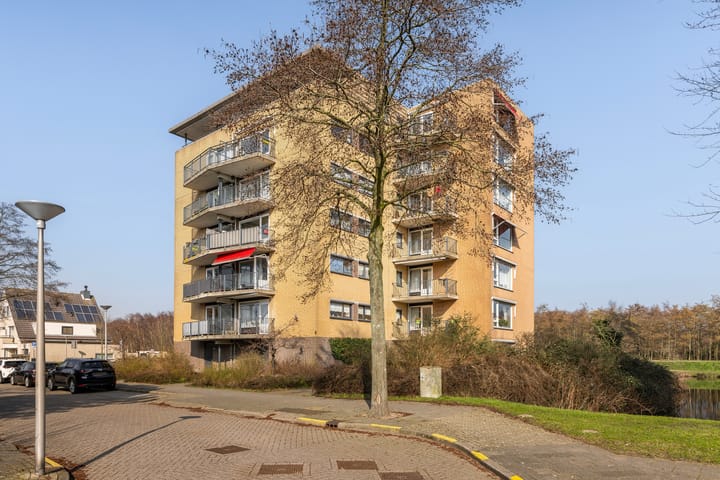 Foto 25 van Zwanebloem 64