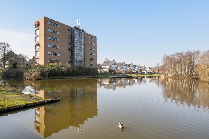 Foto 26 van Zwanebloem 64