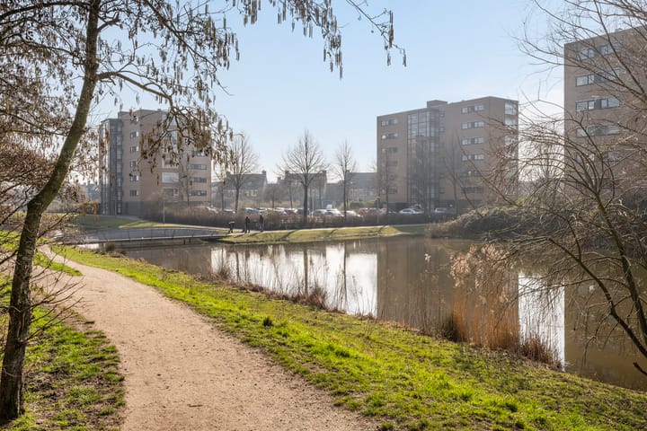 Foto 27 van Zwanebloem 64