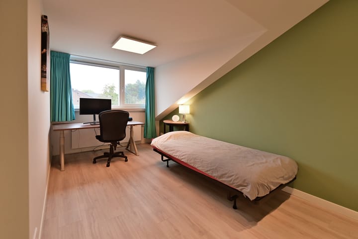 Foto 19 van Goudwespmeent 69