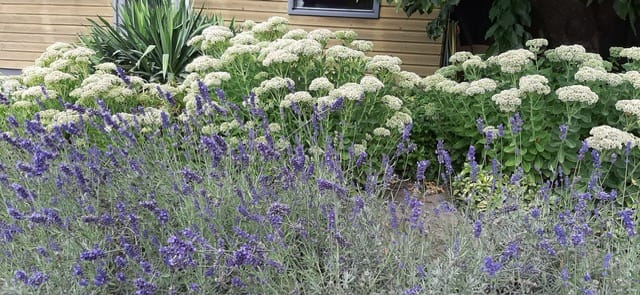 Foto 40 van Staakberg 2