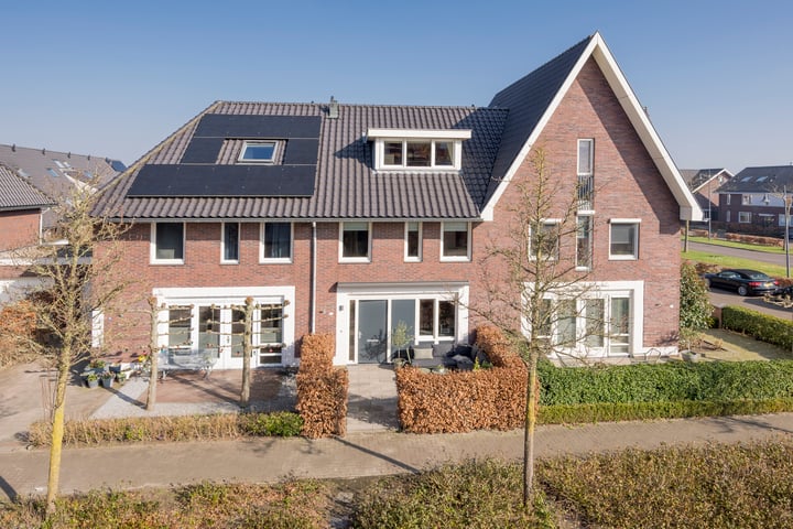 Foto 1 van Zijdevlinder 81