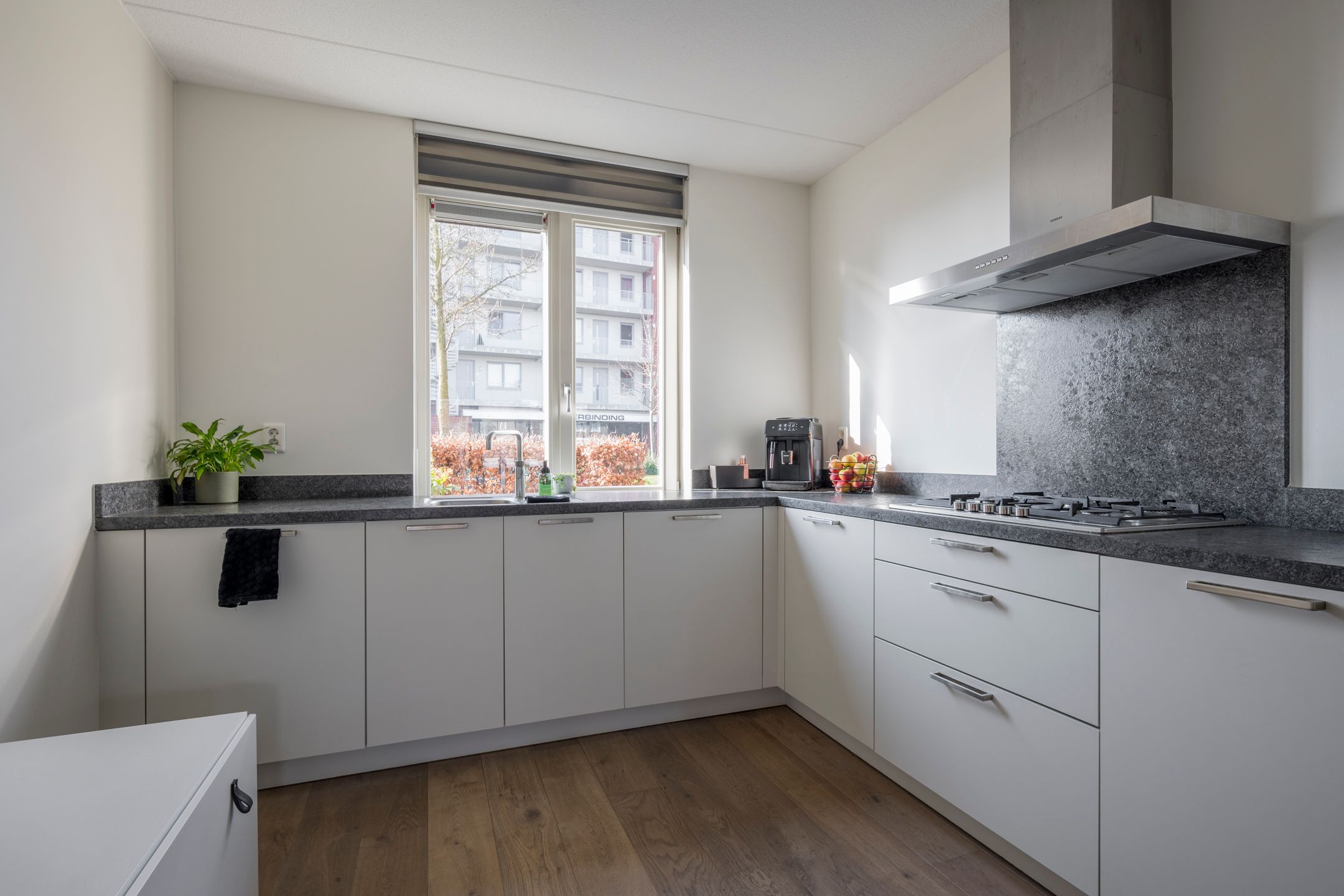 Foto 3 van Zijdevlinder 81