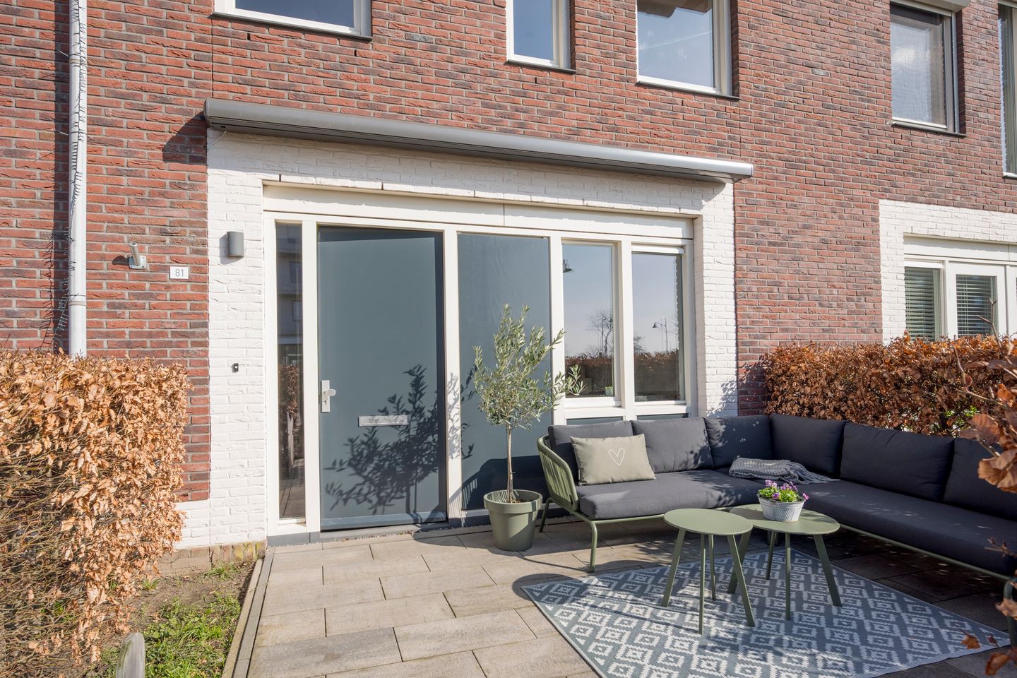 Foto 4 van Zijdevlinder 81