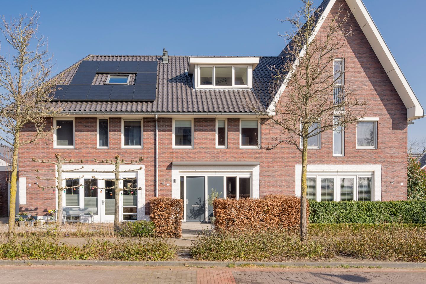 Foto 5 van Zijdevlinder 81