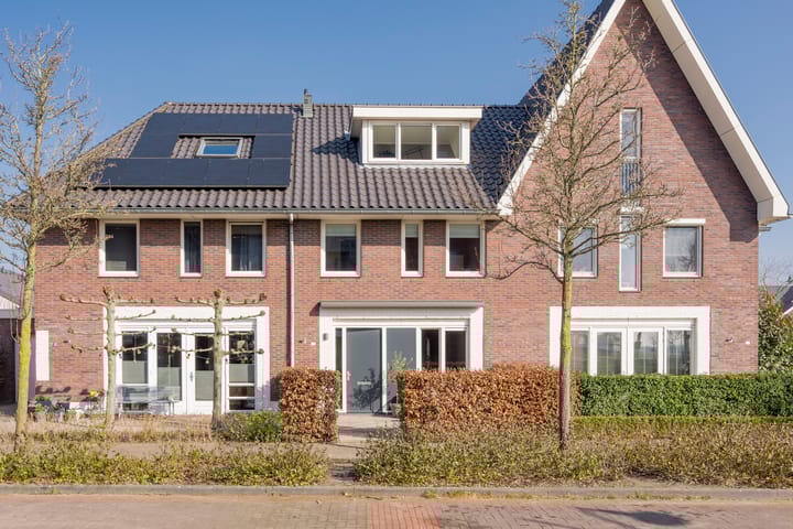 Foto 5 van Zijdevlinder 81