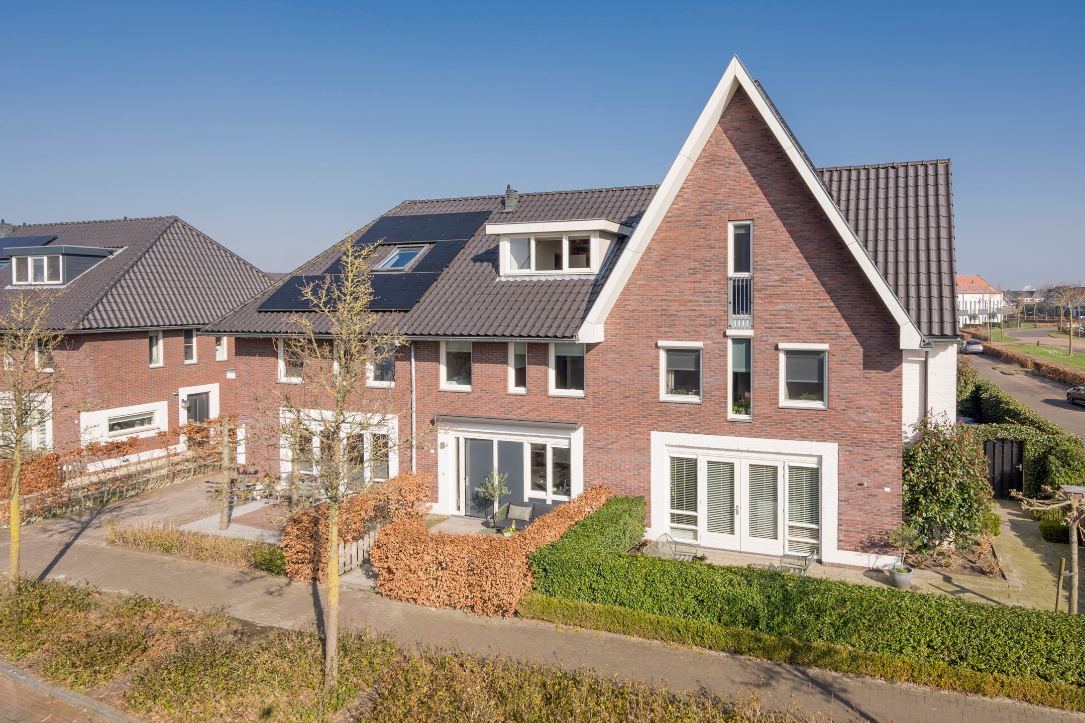 Foto 6 van Zijdevlinder 81