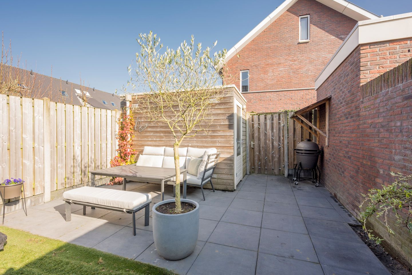 Foto 10 van Zijdevlinder 81