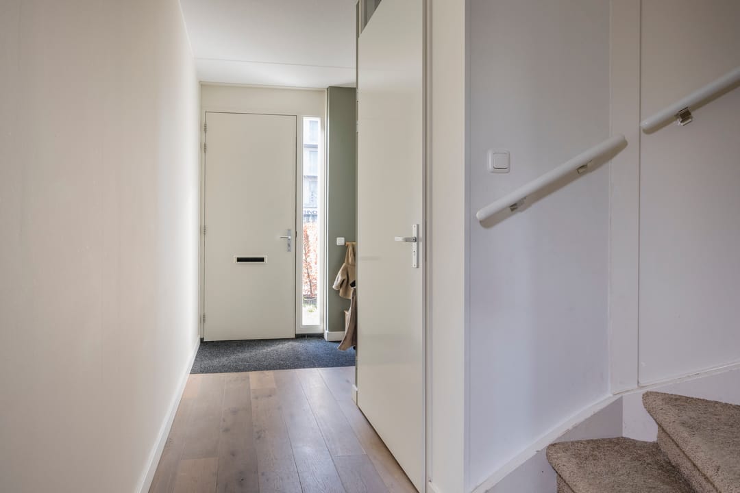 Foto 11 van Zijdevlinder 81