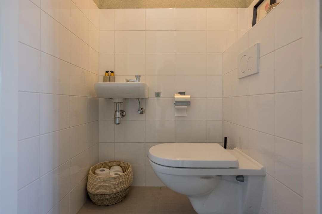 Foto 13 van Zijdevlinder 81