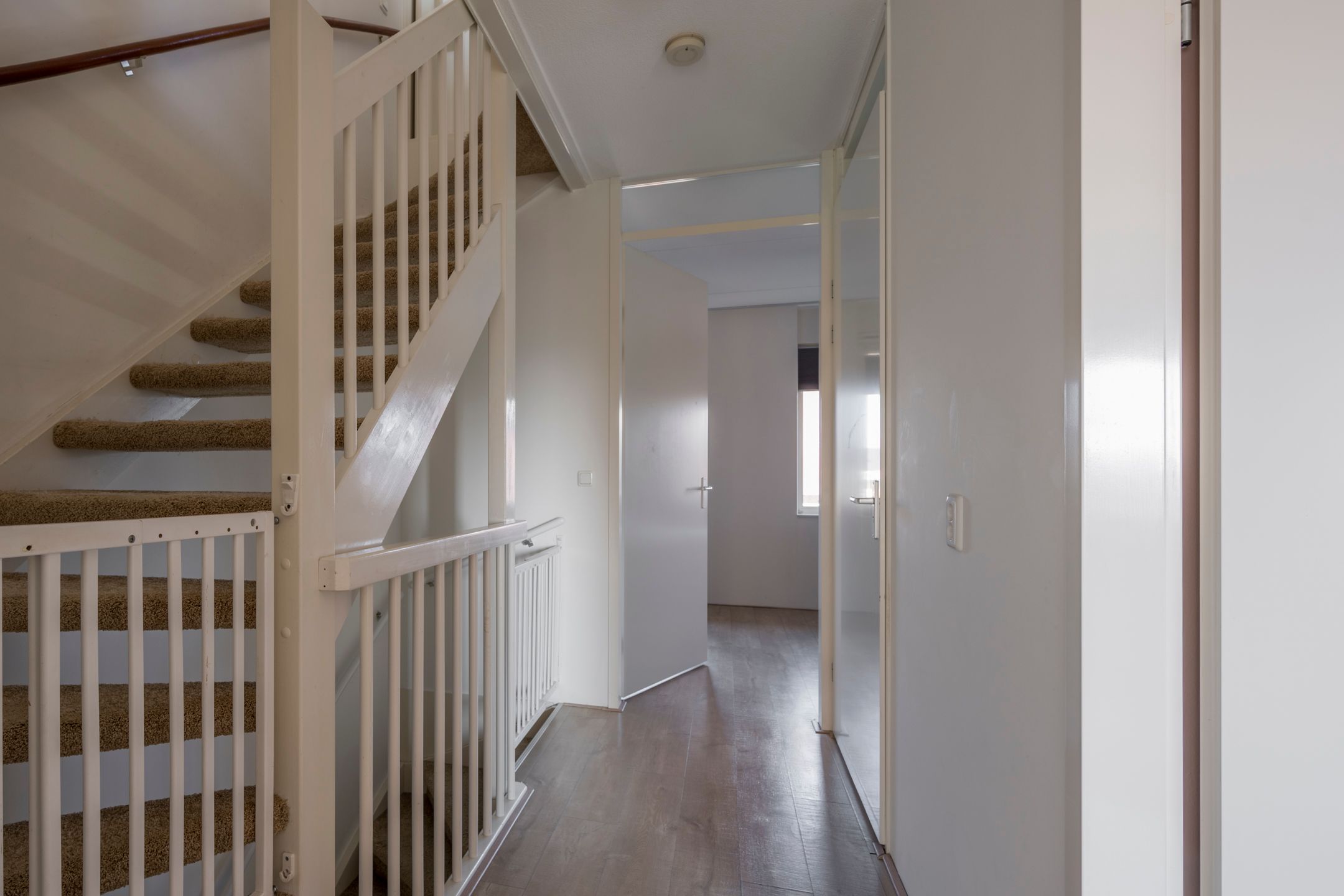 Foto 21 van Zijdevlinder 81