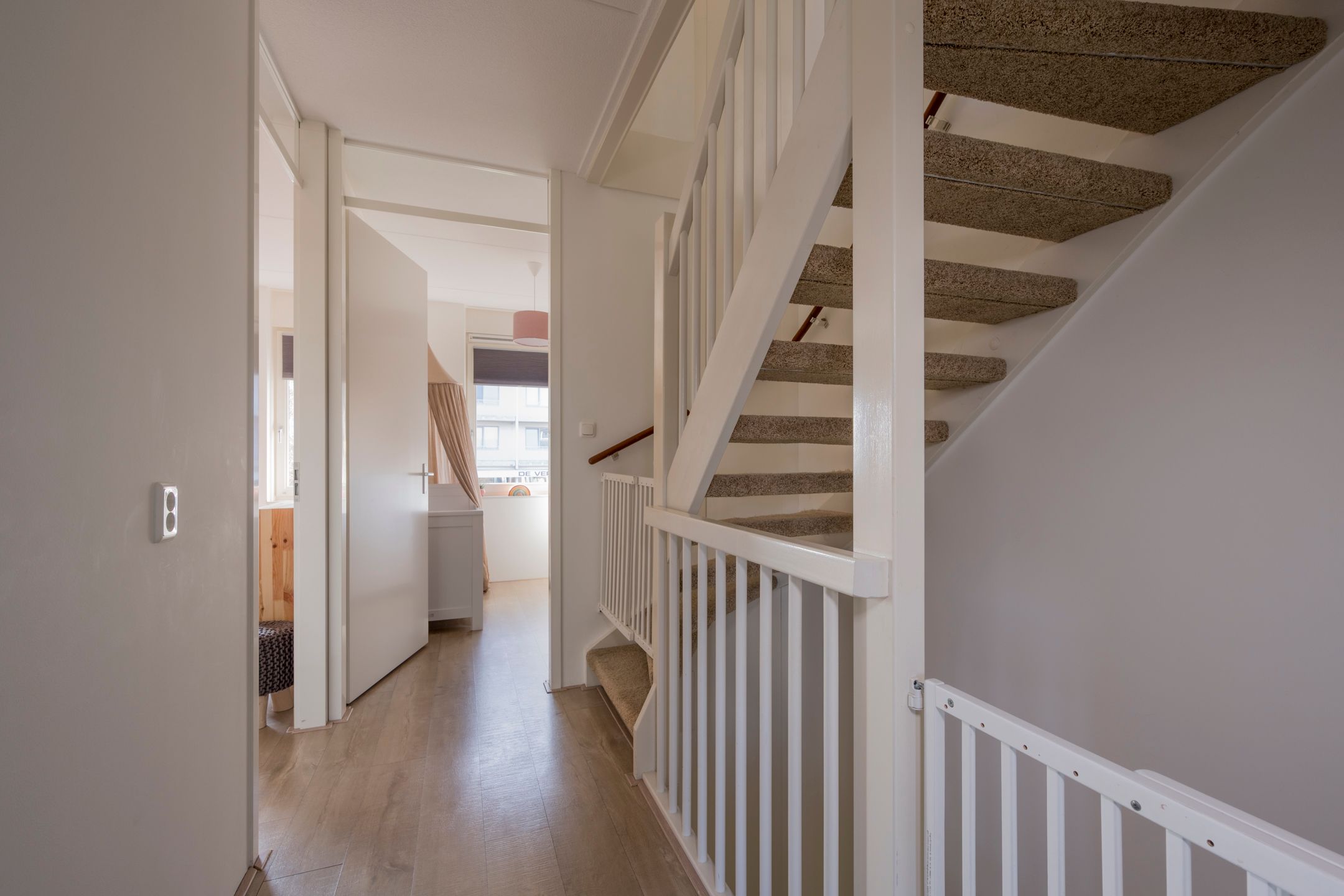 Foto 24 van Zijdevlinder 81