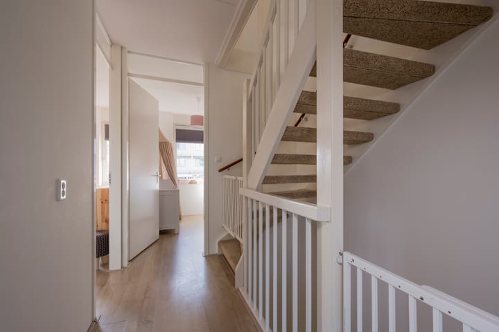 Foto 24 van Zijdevlinder 81