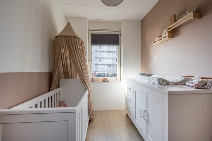 Foto 25 van Zijdevlinder 81