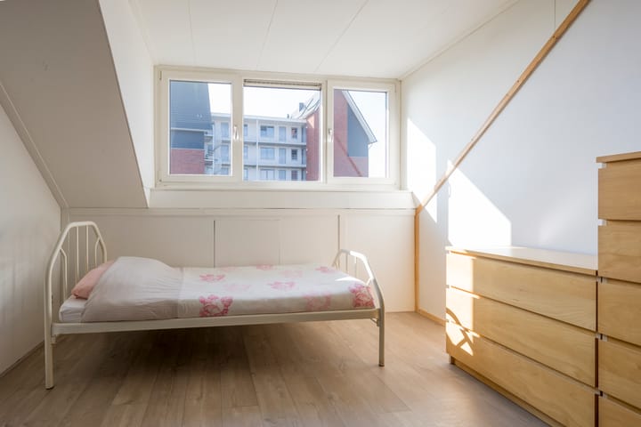 Foto 35 van Zijdevlinder 81