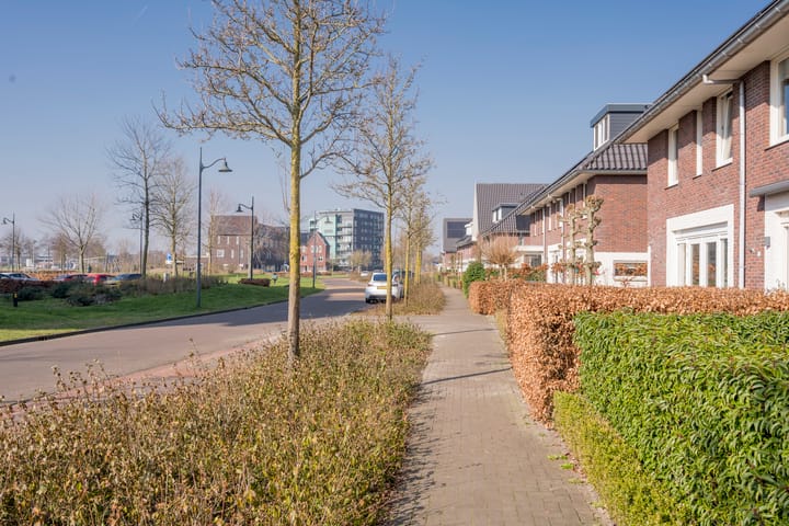 Foto 37 van Zijdevlinder 81