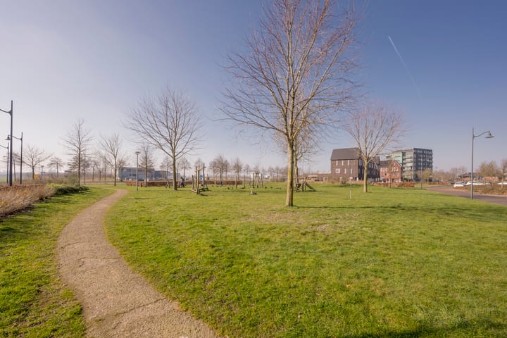 Foto 38 van Zijdevlinder 81